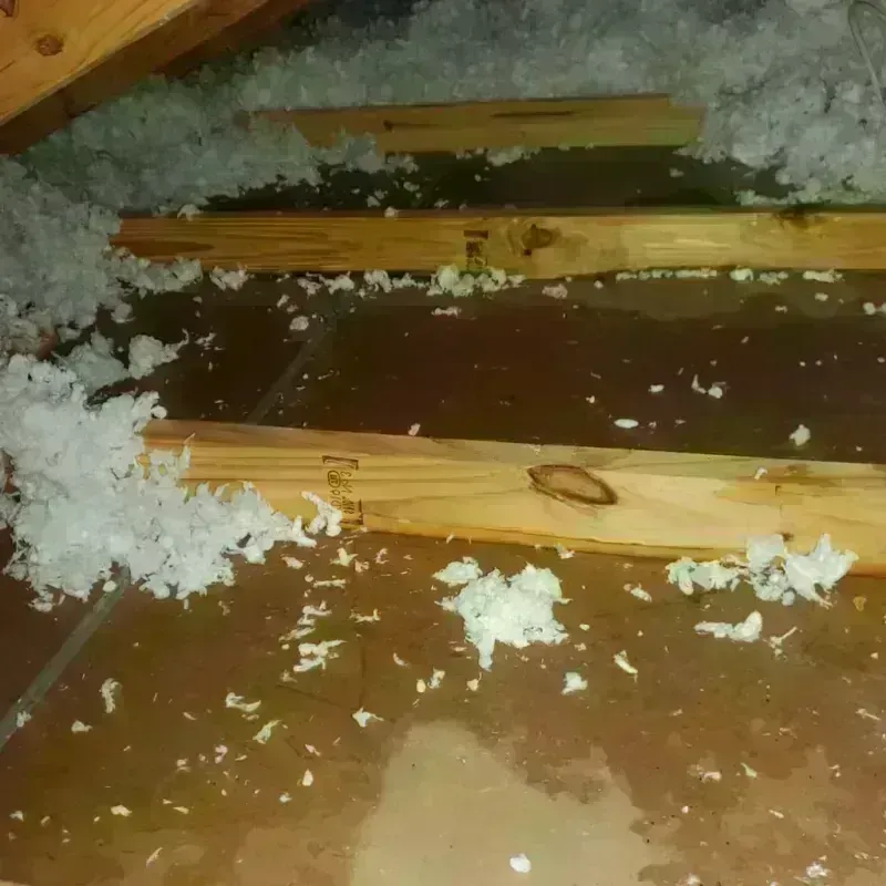 Attic Water Damage in Prunedale, CA